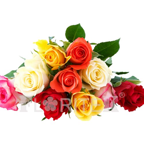 12 colour roses hand bunch